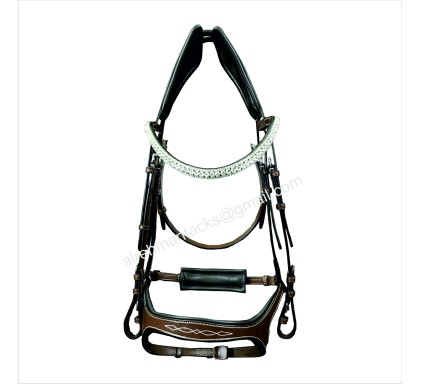 Leather Bridle